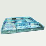 بازی آیس کول ICECOOL - تصویر 2