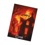 پرونده معمایی توطئه در آتش - تصویر 3